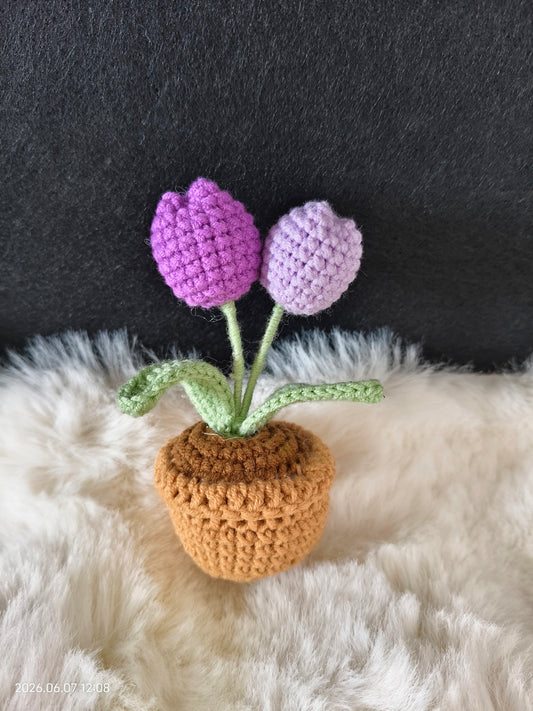 Crochet Mini Cactus in Pot | Handmade Succulent Plant for Desk or Shelf Decor