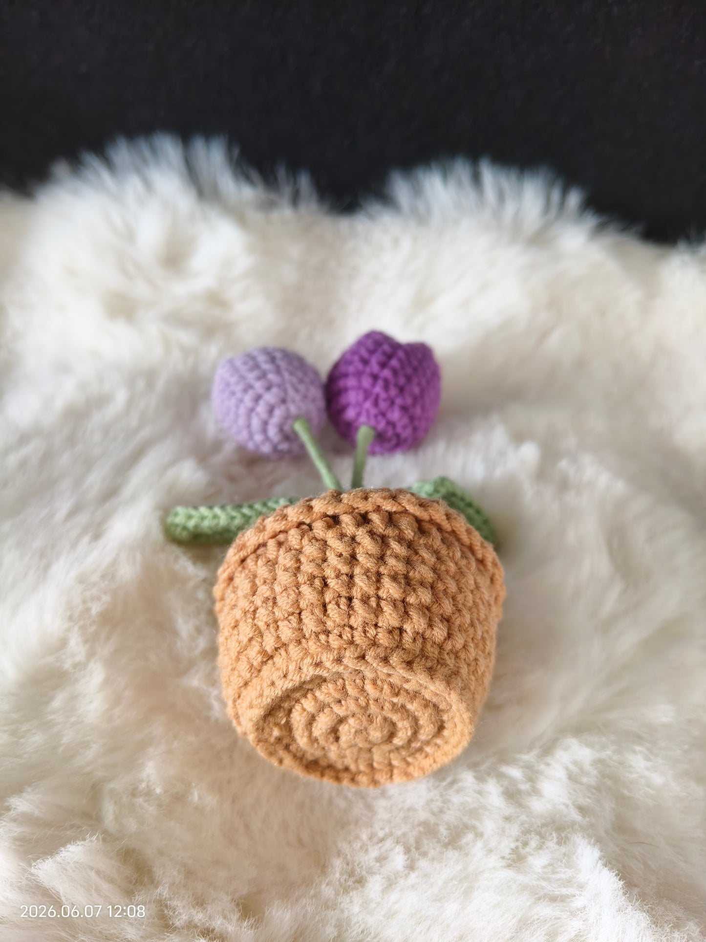 Crochet Mini Cactus in Pot | Handmade Succulent Plant for Desk or Shelf Decor